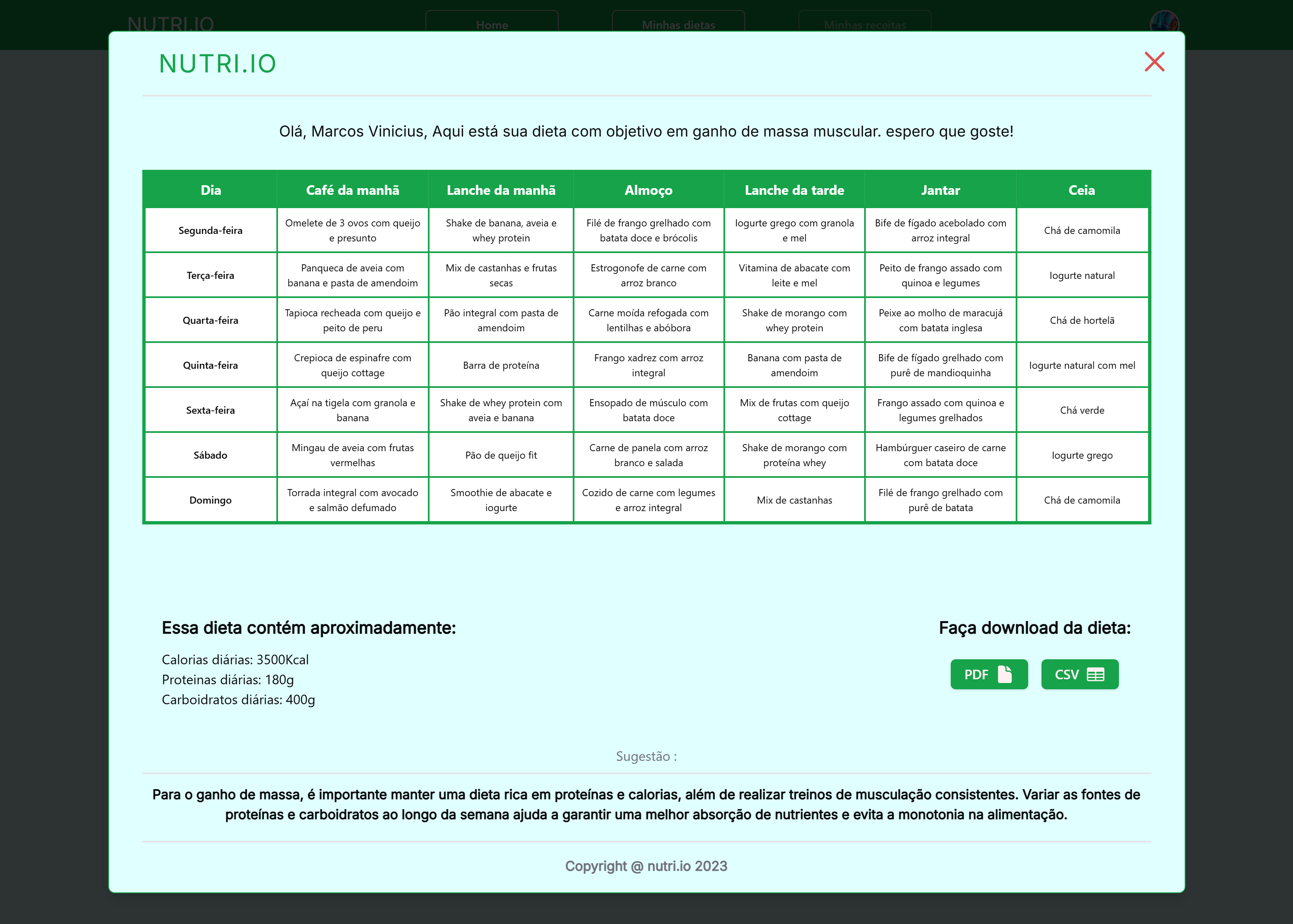 Página da sua dieta do site Nutri.io